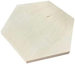 Unfinished Wooden Panels for Painting, Blank Wood Hexagon Framed Boards for Crafting Art Pouring (10x11.6 in, 6 Pack)