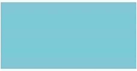 Deco Art AMERICANA PAINT 2 OZ SHORELINE, us:one size