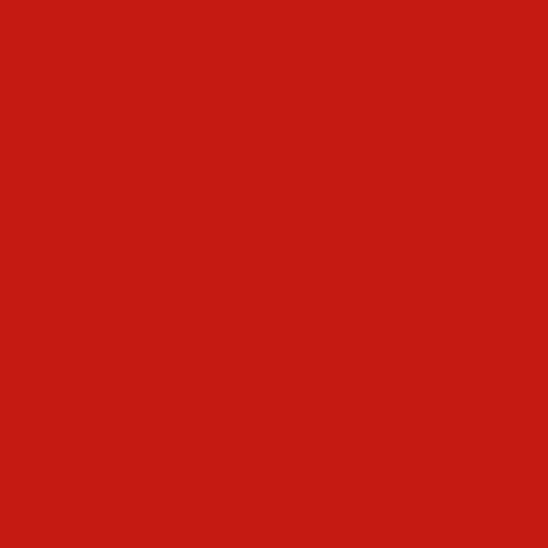 Faber-Castell Polychromos Artists' Single Pencil - Colour 118 Scarlet Red