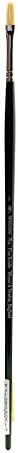 Winsor & Newton Winton Hog Flat #2 Bristle Brush