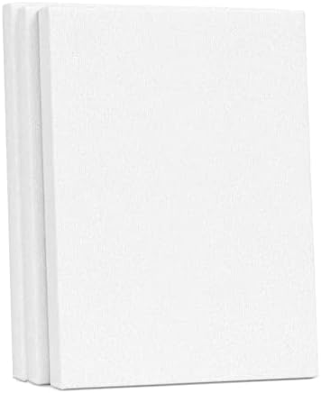 2 Pack Canvases for Painting with 8x10, Stretched Blank Canvas Framed White Canvas Boards Painting Supplies Art Board Paint Canvas Panels DIY Gift for Kids Adults Artist Hobby Painters
