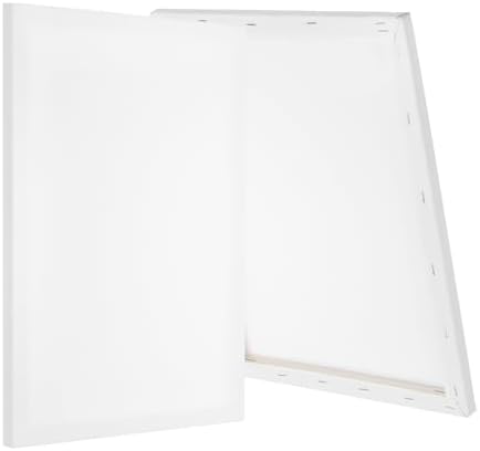 PATIKIL Stretched Canvas, 2 Pcs 24" x 16" Rectangle Canvas for Painting Blank Primed Canvas Cotton Canvas Panels for Acrylics Oil Watercolor Paints, White