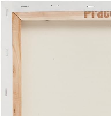 Practica Economy Stretched Cotton Canvas - Acid-Free Acrylic Primed Canvas for Acrylics, Pastels, Graphite, & More! - [2-Pack - 6x6]