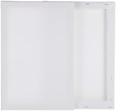 MECCANIXITY 2 Pcs Stretched Canvas for Painting, 8 x 12 Inch Blank Artist Boards 4/5 Inch Profile Cotton Canvas Panels for Beginners Professionals,White