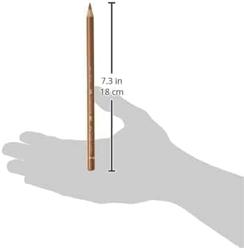 Faber-Castell Polychromos Artists' Single Pencil - Colour 180 Raw Umber