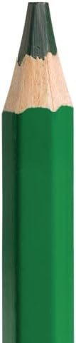 Colorations® Jumbo Colored Pencils, Larger and Hexangonal Shaped for easy gripping, Set of 120 Pencils, 12 Colors, Kids Coloring Pencils, Sustainably Harvested Wood, Home or School Supplies
