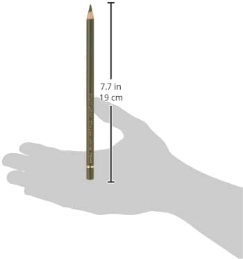 Faber-Castell Polychromos Artists' Single Pencil - Colour 173 Olive Green Yellowish