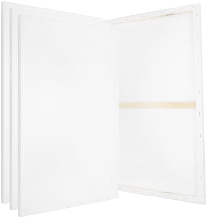 PATIKIL Stretched Canvas, 6 Pcs 30" x 20" Rectangle Canvas for Painting Blank Primed Canvas Cotton Canvas Panels for Acrylics Oil Watercolor Paints, White