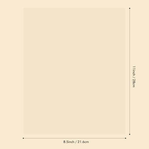 Briartw 10 Heat Resistant Clear Acetate Sheets - 8.5x11 inch for Embossing,Stamping,and Card Making | Perfect for Shaker Cards,Interactive Designs,and Scrapbook Overlays | Anti-static & Easy to Cut