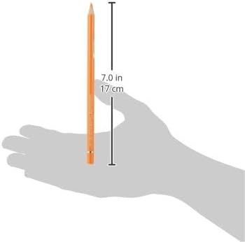 Faber-Castell Polychromos Artists' Single Pencil - Colour 113 Orange Glaze