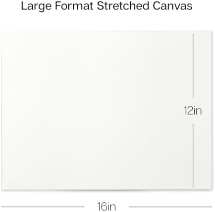 KINGART 805-6 Stretched White Canvas for Painting, 12 x 16 Inch, Pack of 6