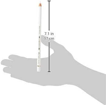 Faber-Castell Art & Graphic Polychromos Colour Pencil, (101), White, for Art, Craft, Drawing, Sketching, Home, School, University, Colouring