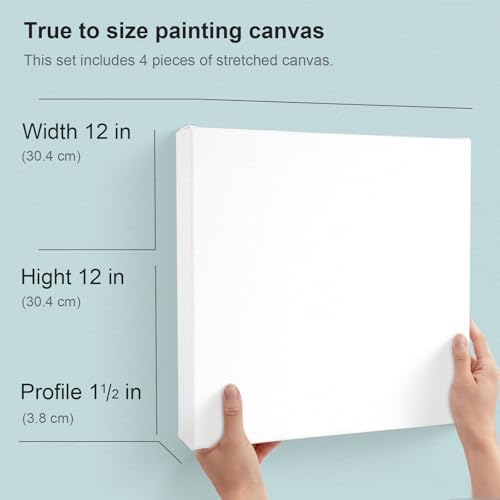 AUREUO 12x12 Inch Gallery Wrapped Canvas 1.5 Inch Depth 4 Pack