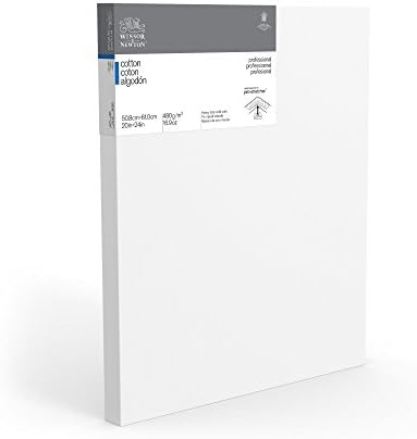 Winsor & Newton Professional Cotton Canvas, 20" x 24" Deep Edge