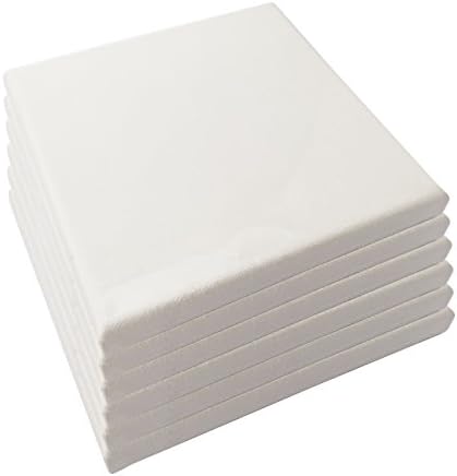 LWR CRAFTS Stretched Canvas 6" X 6" Pack of 6