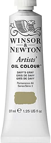 Winsor & Newton Artists' Oil Paint, 37ml Tube, Davy's Gray