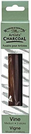 Winsor & Newton Artist Vine Charcoal Sticks, Medium, Black, Box of 3 Sticks
