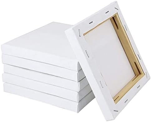 6 Pack Artist Blank Canvas, 25 x 25cm Stretched Canvas Frames Panel Board, Square Art Board for Acrylic Oil Painting
