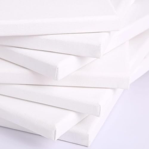 Canvases for Painting, 40x30, 30x20,20x15, 8 Set Canvas with Palette & Tape