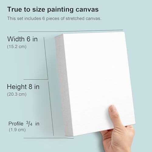 PHOENIX 6x8 Inch 6 Pack Artist Canvas - Small Stretched Canvases for Painting - 3/4 Inch Profile, 100% Cotton 11 Oz. Gesso Primed White Blank Professional Canvas Oil & Acrylic Paints