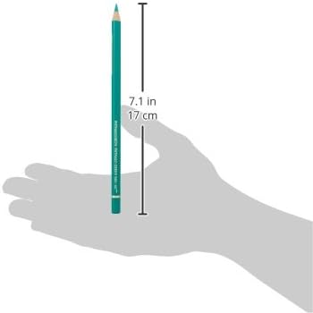 Faber-Castell Polychromos Artists' Single Pencil - Colour 161 Phthalo Green