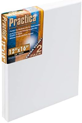 Practica Economy Stretched Cotton Canvas - Acid-Free Acrylic Primed Canvas for Acrylics, Pastels, Graphite, & More! - [2-Pack - 12x16]