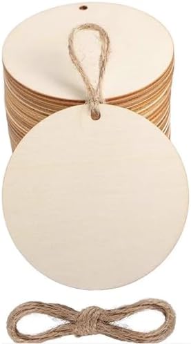 Wooden disc Ornament 10pcs Blank Wood Ornaments, 3.5X3.5 in Used for Painting and Decoration DIY Technology, Hanging skrnrhrery