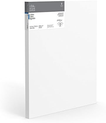 Winsor & Newton Professional Cotton Canvas, 24" x 30" Deep Edge