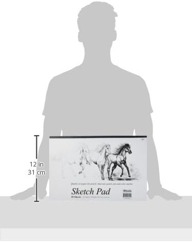 BAZIC 20 Ct. 18" X 12" Premium Sketch Pad