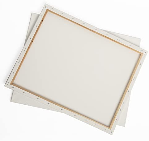 ™ 2-PC, 16”x 20” Medium Weight Stretched Canvas Wood Frame Value Pack, White, Acid-Free, Oil & Acrylic Paints, Primed with Double Acrylic Gesso to Smooth Surface & Reduce Absorbency