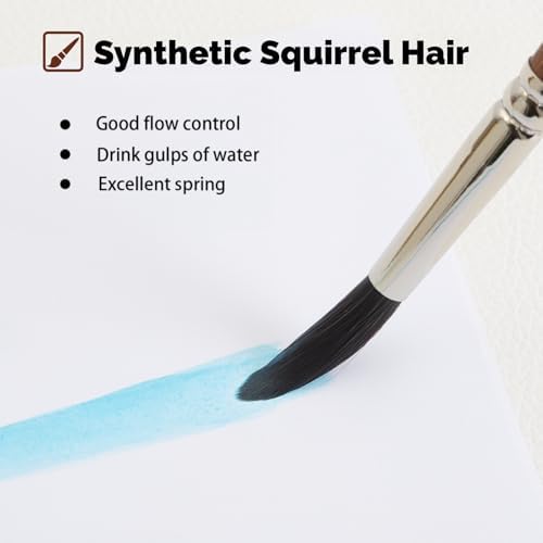 Watercolor Brushes Professional, Paint Brush Set Variety Shapes with Flat, Round Pointed, Dagger, Cat's Tongue Oval Wash Perfect for Watercolor Gouache Acrylic Inks Painting