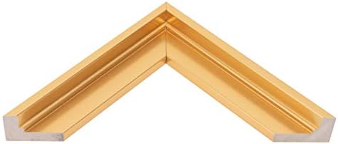 Pixy Canvas Floater Frame for Canvas Paintings, Wood Panels, Canvas Panels & Stretched Canvas Boards. Floating Frame fits 5/8", 3/4" & max 7/8" Deep Artwork (8 x 10 inch)