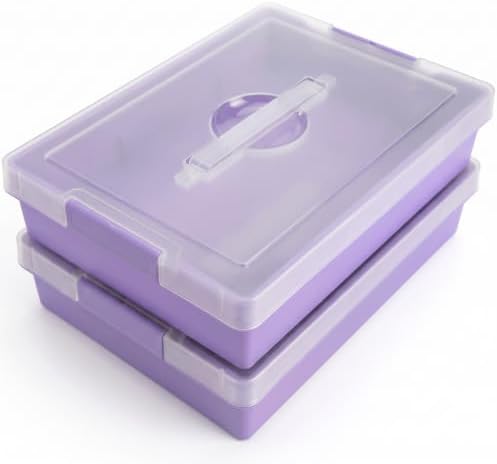 2-Pack Craft Organizers and Storage Box with Removable Tray, Portable Project Case with Handle and Lid, 2-Tier Art Supply Organizer, Document File Box for A4 Paper, Scrapbook, 5-Quart