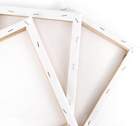 6 Pack Canvases for Painting with 8x10, Stretched Blank Canvas Framed White Canvas Boards Painting Supplies Art Board Paint Canvas Panels DIY Gift for Kids Adults Artist Hobby Painters