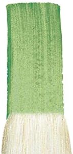Winsor & Newton Winton Hog Bright #2 Bristle Brush