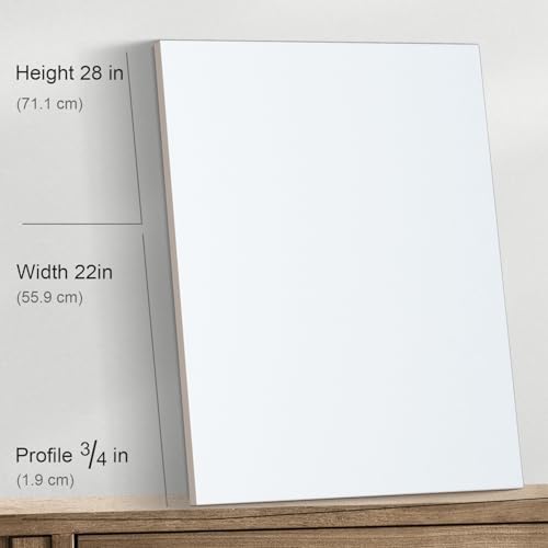 PHOENIX 22x28 Inch 2 Pack Artist Canvas - Extra Large Stretched Canvases for Painting - 3/4 Inch Profile, 100% Cotton 11 Oz. Gesso Primed White Blank Professional Canvas Oil & Acrylic Paints