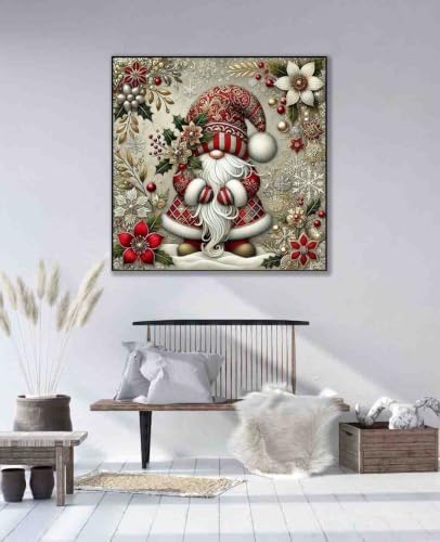 DYAIYYMQ Gnome Stamped Cross Stitch Kit for Adults 13.7x13.7 inches
