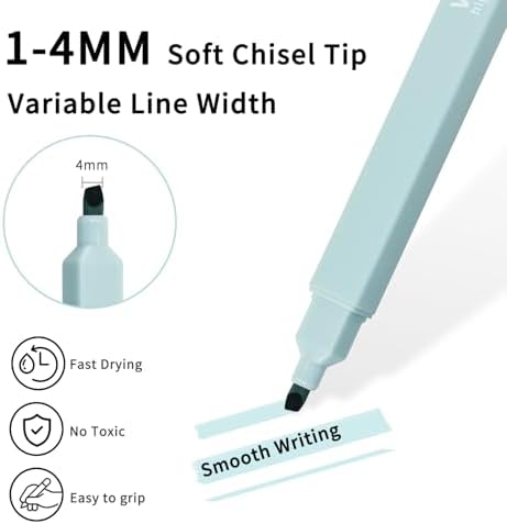 Vitoler Bible Highlighters and Pens, 6 Black Pens & 6 Highlighters | for Study, Journaling and Office Best Gifts for Teacher Nurse Mothers Day