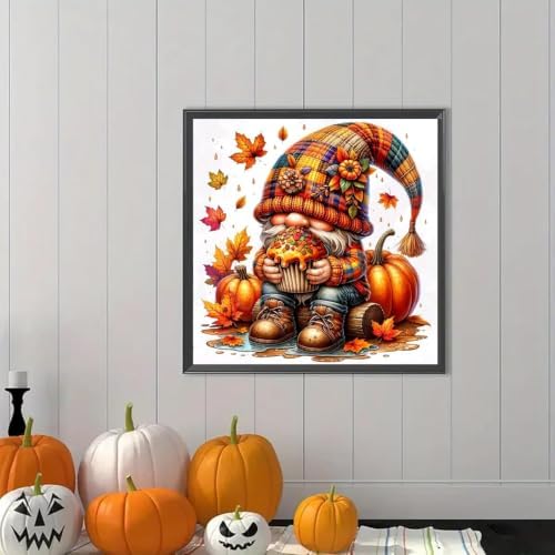 ARPADAMO Gnome Pumpkin Diamond Art Kits for Adults Diamond Painting 14x14in