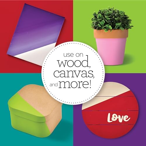 Apple Barrel PROMOABII Matte Finish Acrylic Craft Paint Set Designed for Beginners and Artists, Non-Toxic Formula That Works on All Surfaces, 2 Fl Oz (Pack of 18), 18 Colors May Vary, Count