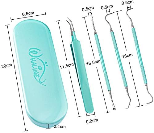 Whaline Vinyl Weeding Tools Set of 4, Precision Stainless Steel Weeder Kit with Case, Includes Scraper, Hook, Spatula, Tweezers for Silhouette Cameo, Lettering & Paper Craft (Mint Green)