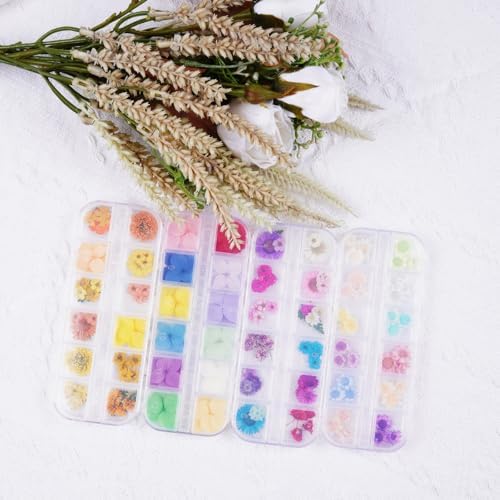 60Pcs Red Small Dried Pressed Flowers for Crafts,Xinxinran Mini Dry Flower Kit for Nail Art,Epoxy Resin Accessories,Bookmark,Nails, Jewelry Making,Candle,Soap,Resin Molds(1 Boxs)