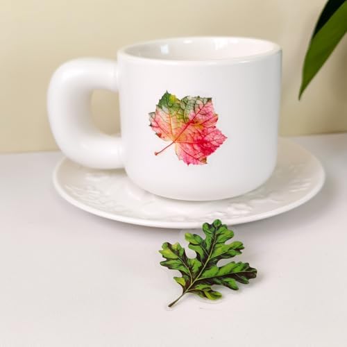 Ychsring Colorful Plant Leaf Stickers - 50 Pcs Clear PET Nature Botanical Fall Leaves Stickers for Scrapbook, Journal, Collage - Transparent Waterproof for Resin, Craft & Scrapbook Supplies