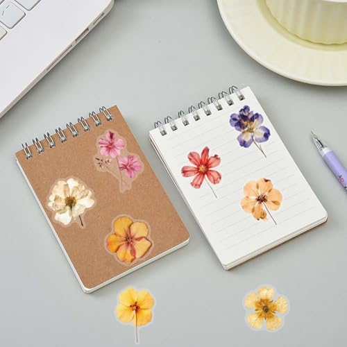 50PCS Transparent Flora Scrapbook Stickers, Vintage Aesthetic Flowers Sticker for Scrapbooks Travel Journal, Vinyl Waterproof for Water Bottles Laptop Phone Scrapbook Supplies DIY Crafts, (Flower-C)