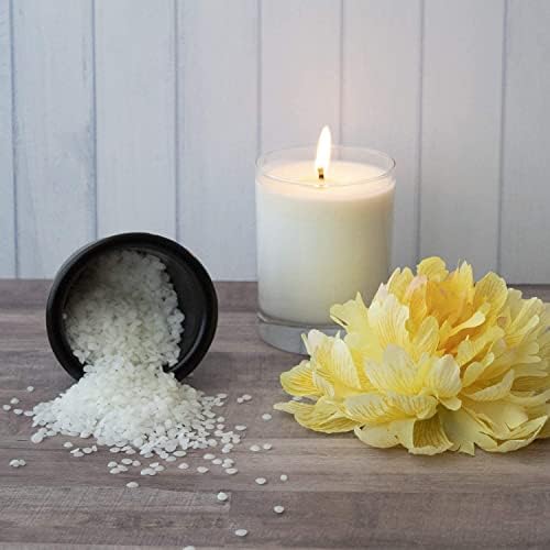 American Soy Organics Millennium Wax Beads for DIY Candle Making, 10 lbs