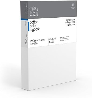Winsor & Newton Professional Cotton Canvas, 9" x 12" Deep Edge