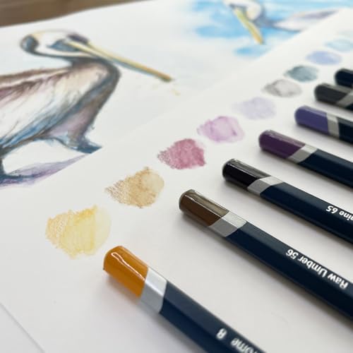Derwent Colored Pencils, Watercolour, Water Color Pencils, Drawing, Art, Metal Tin, 12 Count (32881)