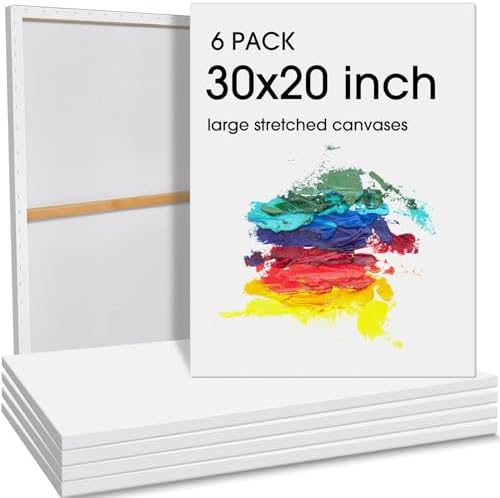 Sherr 6 Pcs Large Blank Painting Canvas Stretched Primed, 30 x 20 Inch