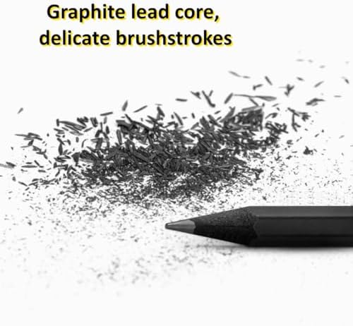 6Pcs Sketch Charcoal Pencils for Drawing Graphite Pencils Woodless Drawing Pencils for Sketching Shading Blending Artist Pencils for Beginners Artists Included HB 2B 4B 6B 8B EE