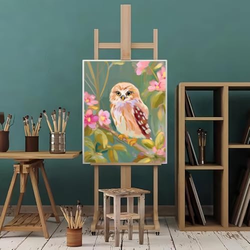 Natuyalo Paint by Numbers Kit for Adults Beginner, Birds Adult Paint by Number Kits on Canvas Without Frame, Animals Acrylic Paint by Numbers for Home Decor 16x20 inch